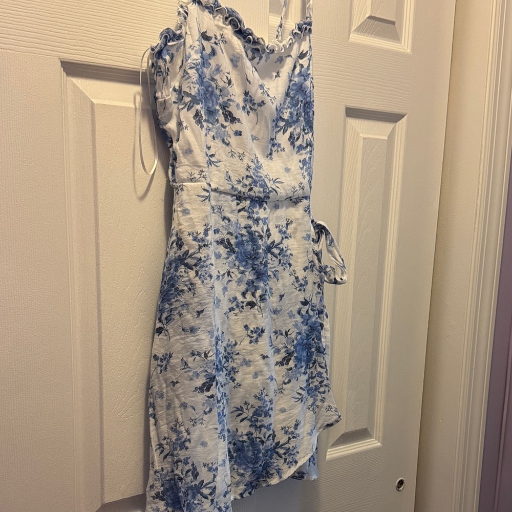 Francesca's Collections Blue and White Floral Mini Dress